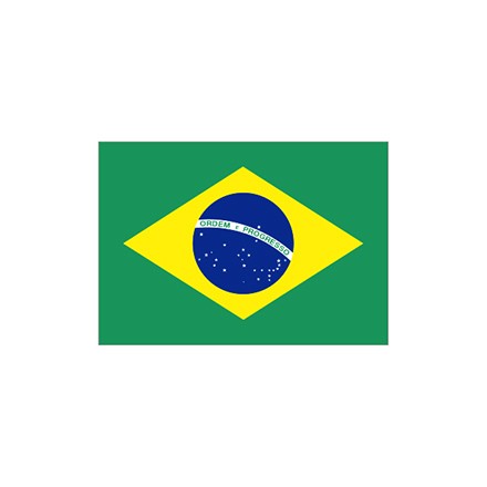 371305-373129 Brazil flag