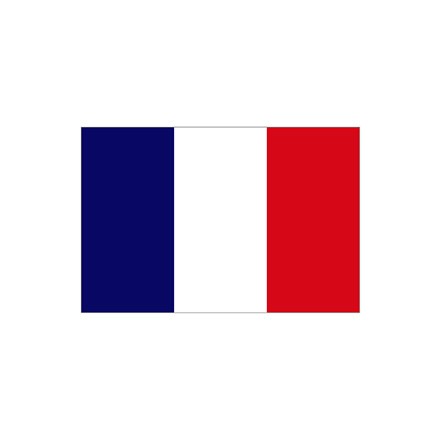 371321-373775 France flag