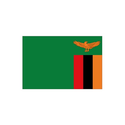 374244-373644 Zambia flag