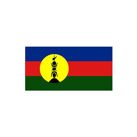 新喀里多尼亚国旗