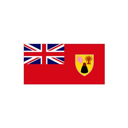 特克斯岛商旗