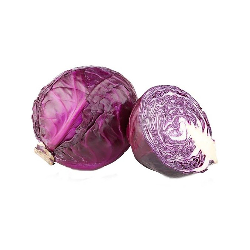 000116 CABBAGE RED FRESH