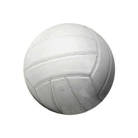 110180-110181 VOLLEY BALL