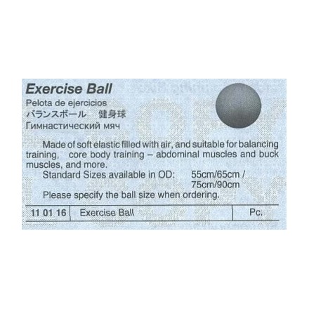 110116 EXERCISE BALL