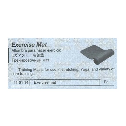 110114 EXERCISE MAT
