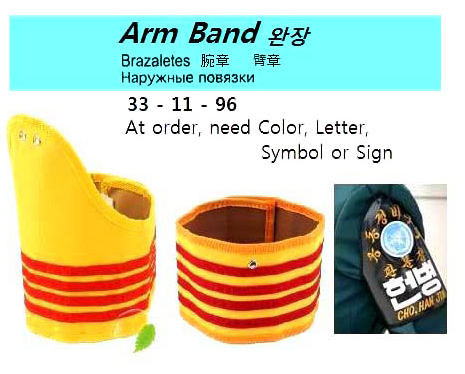 331196 BAND ARM WITH FURTHER DETAIL